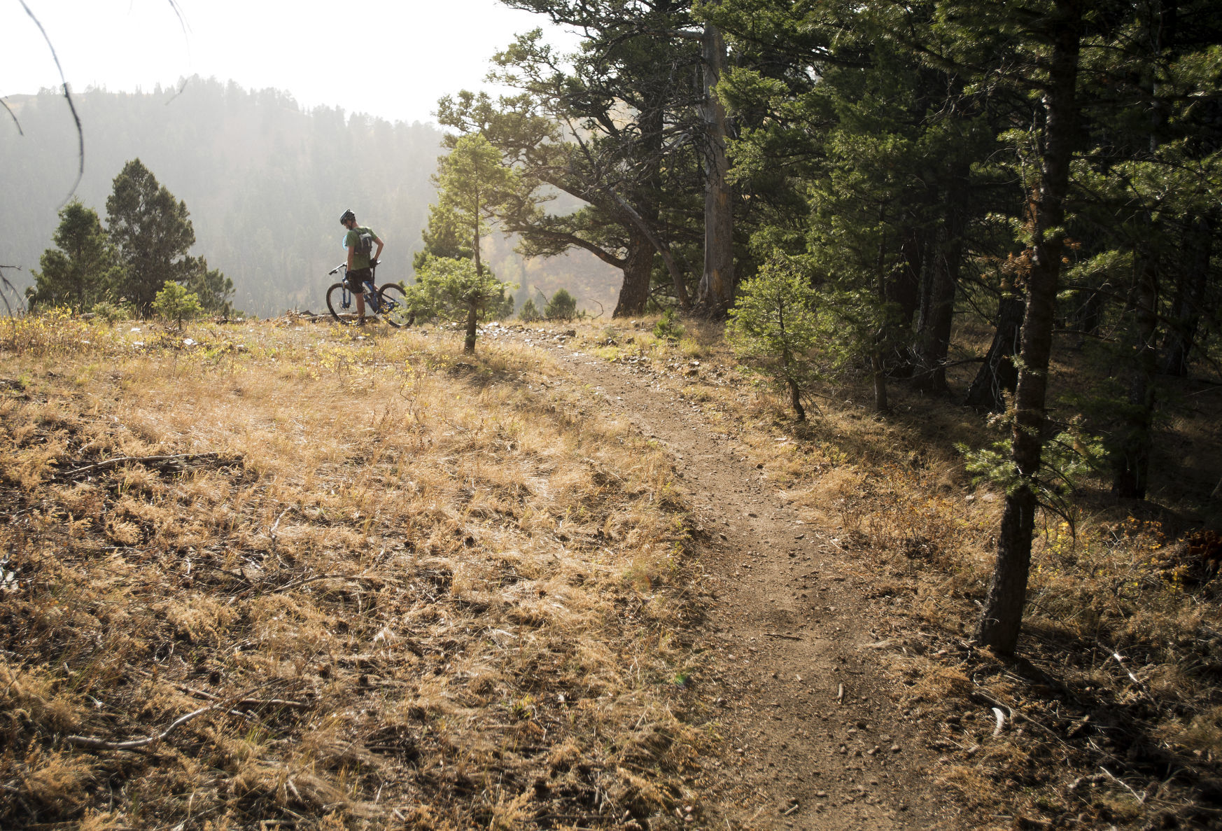 Skyline Trail